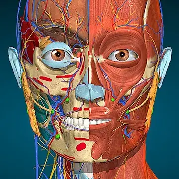 Anatomy Learning 3D Anatomy Banner